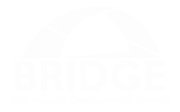 bridge-onderzoek